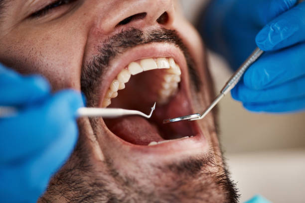 Best Emergency Orthodontic Repairs in Palmer, AK