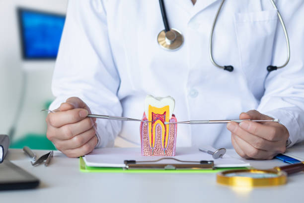 Best Emergency Dental Care for Trauma or Injury in Palmer, AK